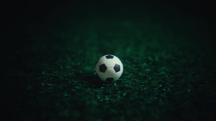 Black and white toy ball falling on the grass
