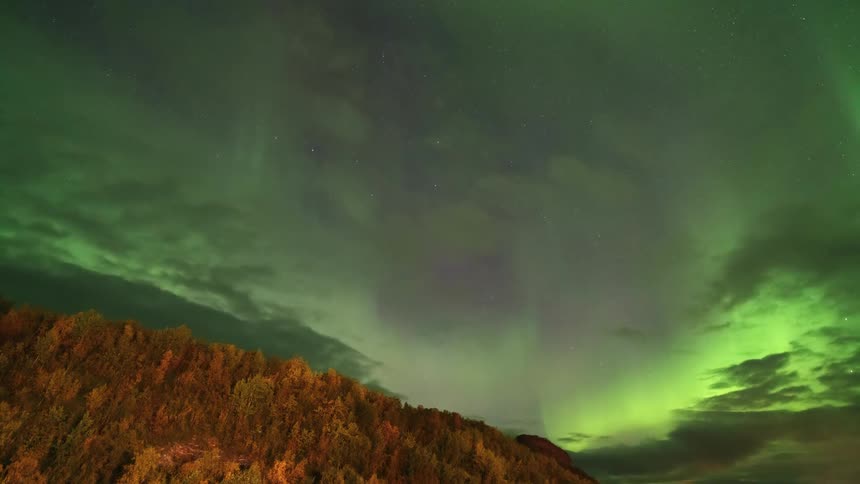 A timelapse captures vibrant green and purple northern lights swirling and dancing across a dark sky filled with moving clouds above a hillside covered in autumn foliage