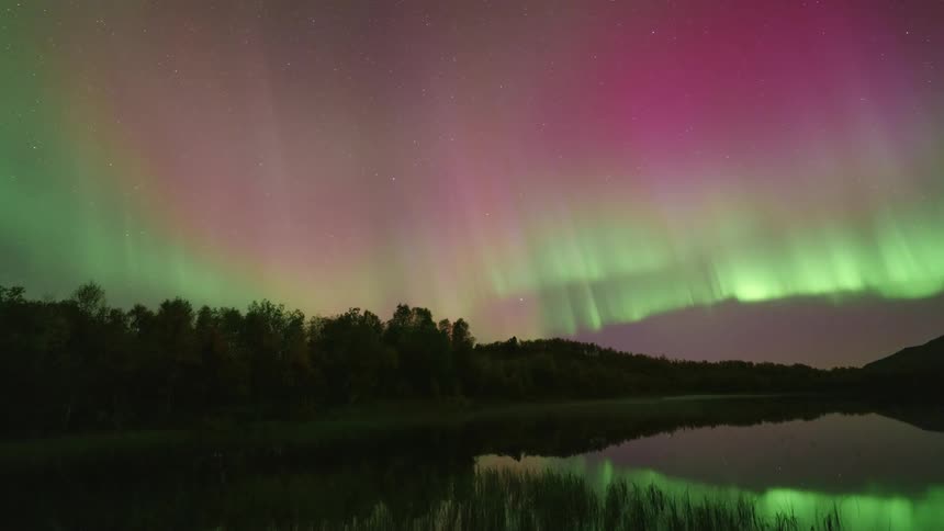 A timelapse captures vibrant pink and green northern lights swirling and dancing across a star filled night sky while reflecting on the calm surface of a lake bordered by a dark forest