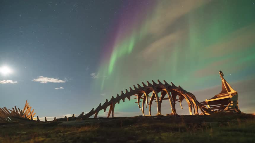 A dinosaur skeleton lies exposed in the wild at sunrise the early light stretching long shadows across the ground above the scene a faint green glow hovers in the sky
