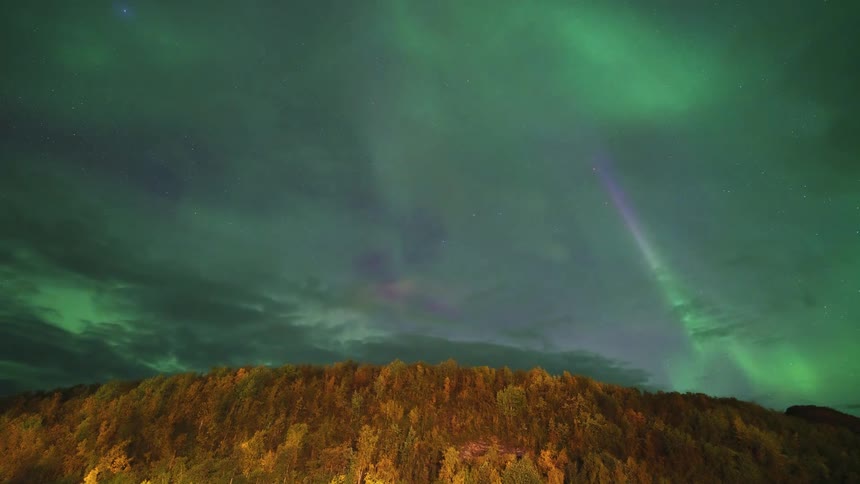 A timelapse captures vibrant green northern lights shimmering and shifting across a dark sky filled with moving clouds above a dense forest on a hillside