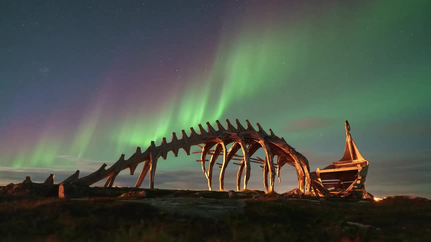 The northern lights pass over the dinosaur bones