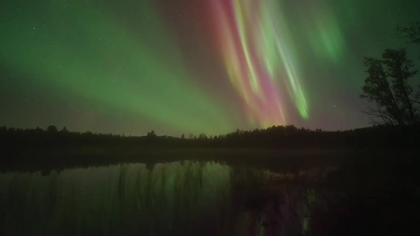 A timelapse captures vibrant green and pink northern lights swirling and dancing across a star filled night sky while reflecting on the calm surface of a small lake bordered by dark trees