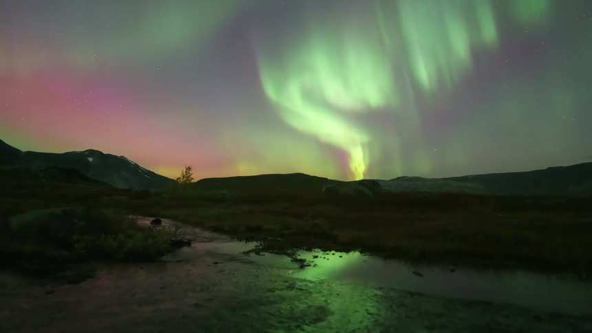 The northern lights shine green in the sky