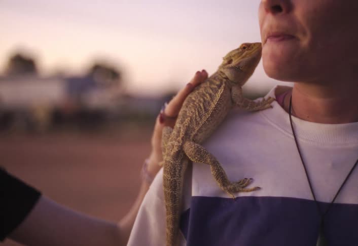 Lizard resting on a persons shoulder outdoors at dusk