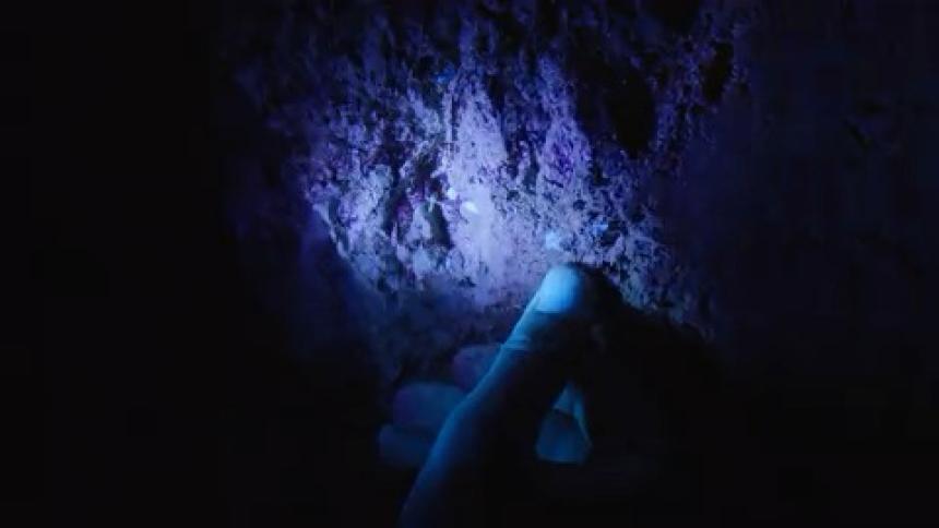 In a dark environment small points of bioluminescent blue light glow faintly against a nearly black backgroundthe light appears to emanate from a textured surface possibly underwater as the faint shapes shift slightly in the shadows