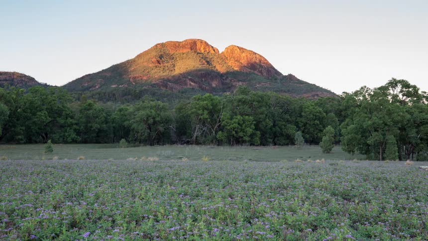 Sunlight moves across a mountain and trees behind a field of plants