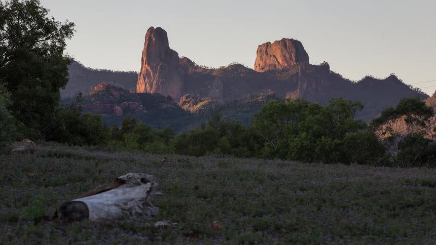 A distant view shows jagged rock formations on a mountain ridge glowing in the early morning light above a field of purple flowers