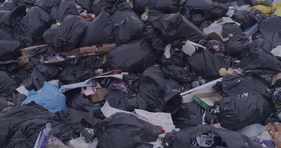 A garbage patch filled with black trash bags sits out in the open at midday the piles exposed under direct sunlight