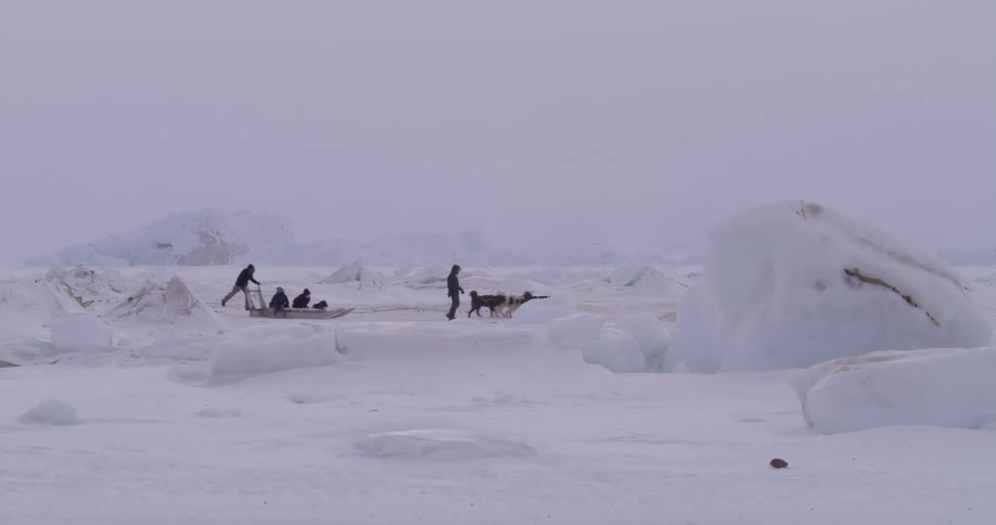 Group of children with dogs pulling a sled across the snow covered ground