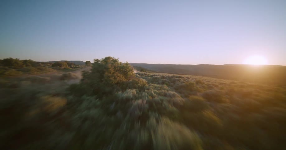 A person on a motorcycle rides quickly along a dirt path through a vast brushcovered landscape toward the sunset