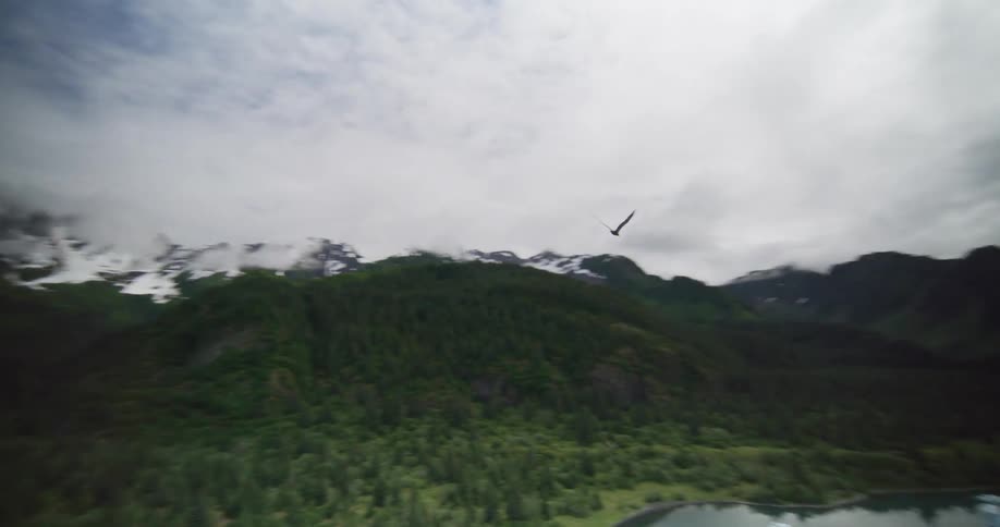 A bird flies over a mirrorlike lake filled with icebergs at the base of lush green mountains under a cloudy sky