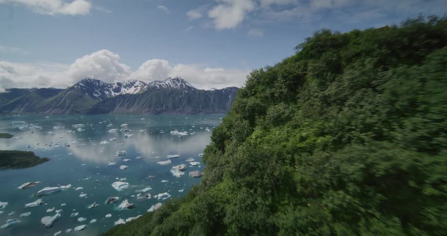 Icebergs float in a glacial bay surrounded by green hills and snow capped mountains