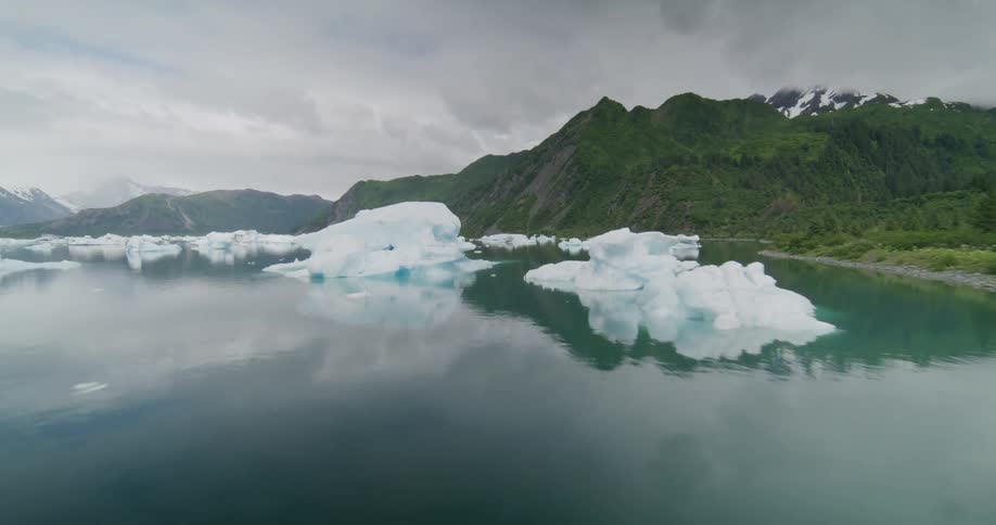 Icebergs are on the shore near the green mountains