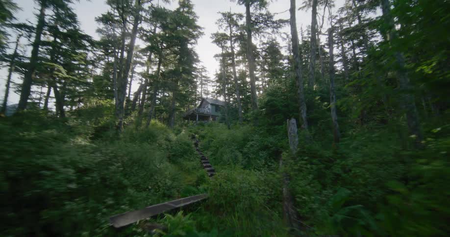 Elevated house surrounded by dense forest with a balcony and wooden stair access