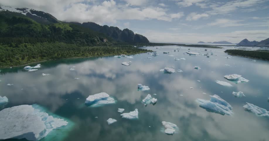 Large pieces of ice floating on the water off the coast of forested mountains