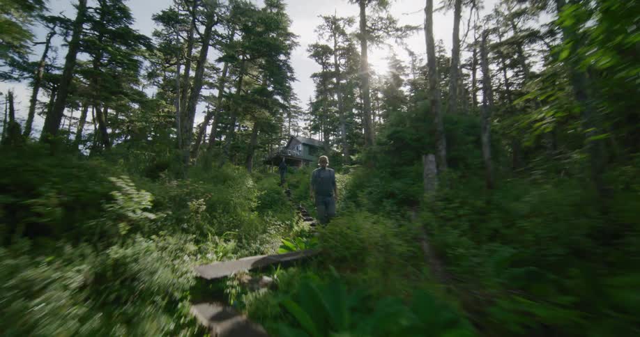 Rustic wooden cabins sit on a lush forested hillside among tall evergreen trees
