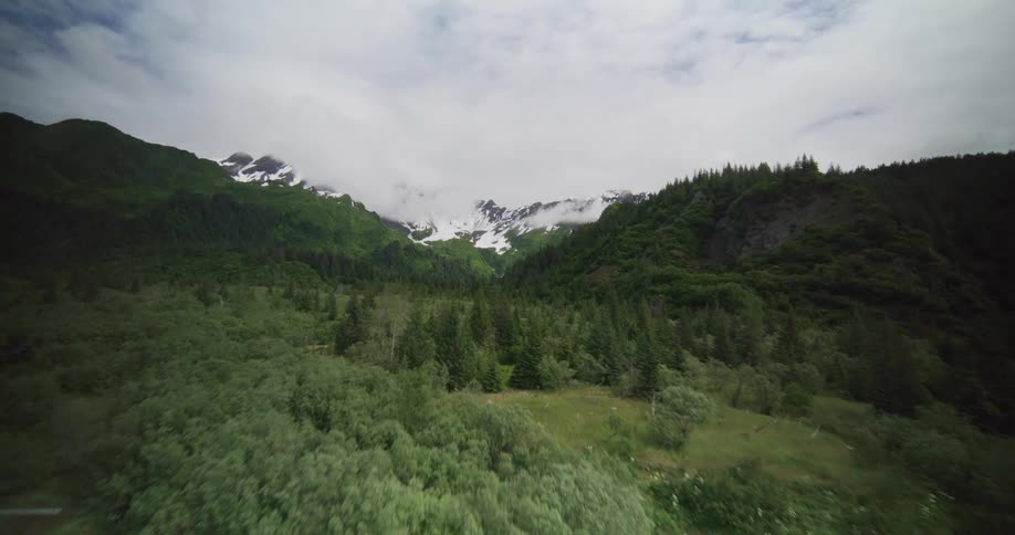 Ice block floating in a lake with forest and snowcovered mountains in the background