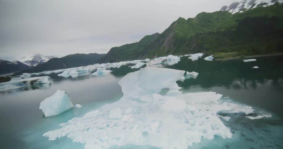 Scattered icebergs float in a calm glacial bay surrounded by green mountains under an overcast sky