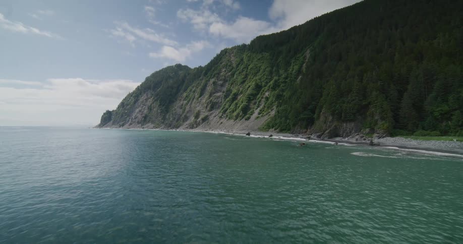 A sweeping aerial shot flies along a remote rugged coastline where steep forestcovered cliffs meet a rocky beach and the deep turquoise ocean