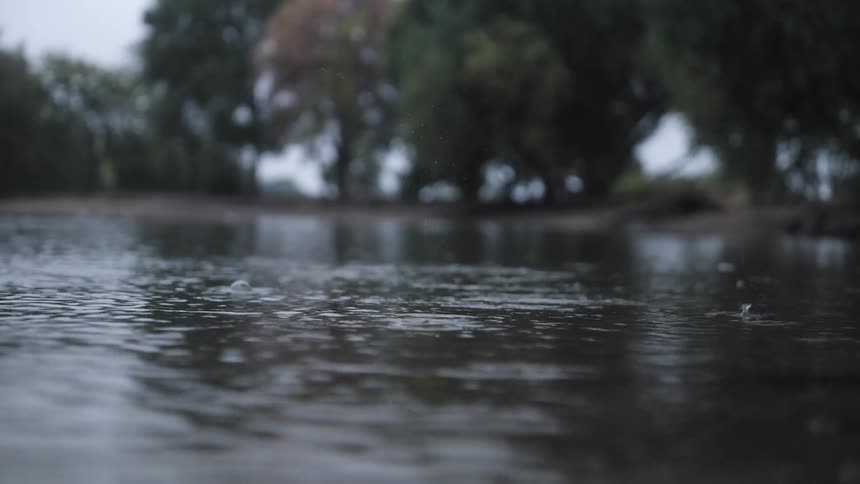 Water droplets on a river at dusk with blurry trees in the background
