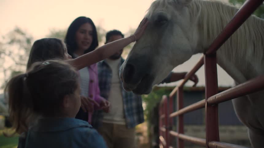 A young girl in a denim jacket feeds grass to a white horse while a man and a woman watch and smile in the background at an outdoor stable