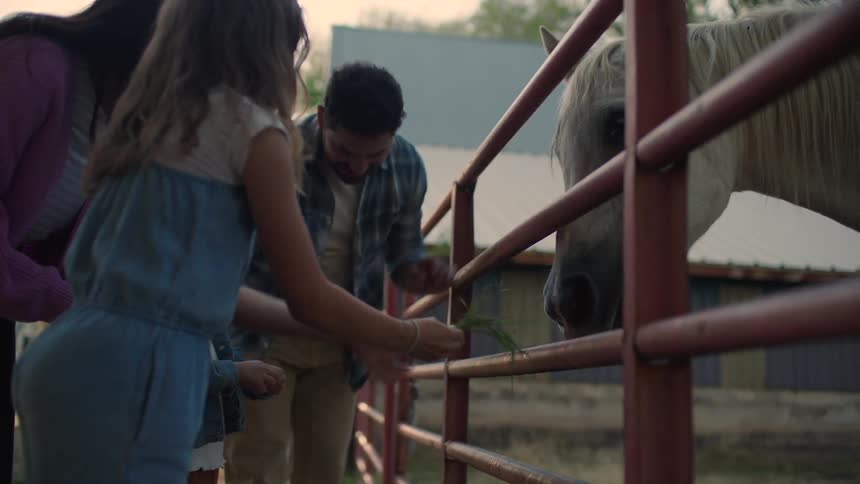 Latin Family feeding a horse through a fence in a rural area