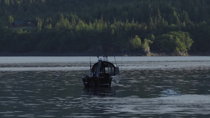 Lone boat traveling on a lake surrounded by dense forest