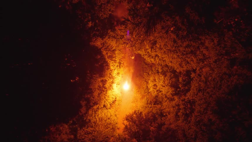 A burning flare falling through the canopy of a dark forest and landing on the ground
