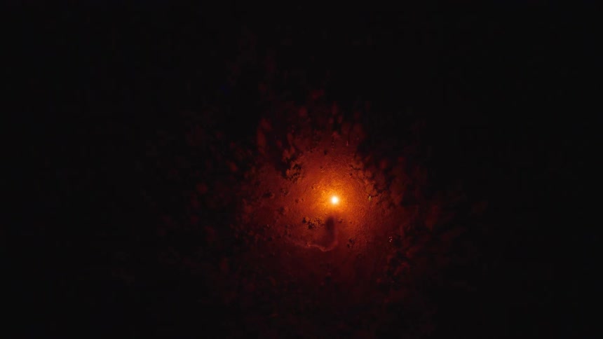 A bright flare burns in the middle of a dark forest