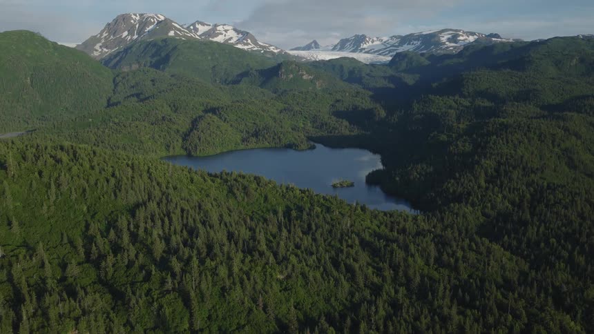 Lake surrounded by dense forest and snowcovered mountains in the background
