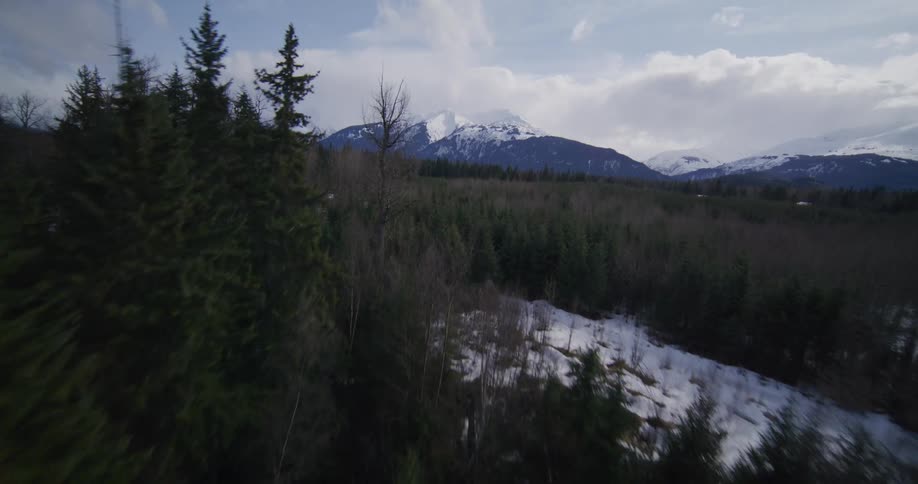 Mountain landscape with extensive forest scattered snow and a winding road in the background