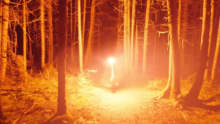 A drone with a flare attached to it flies through a forest at night