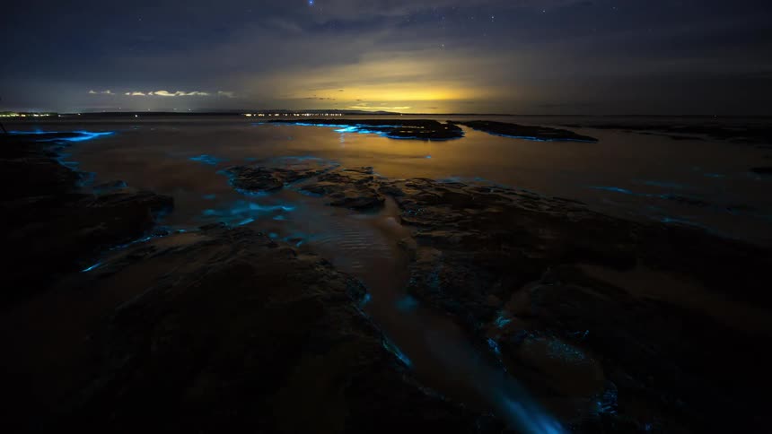 Bioluminescent water currents illuminate the coastline at night