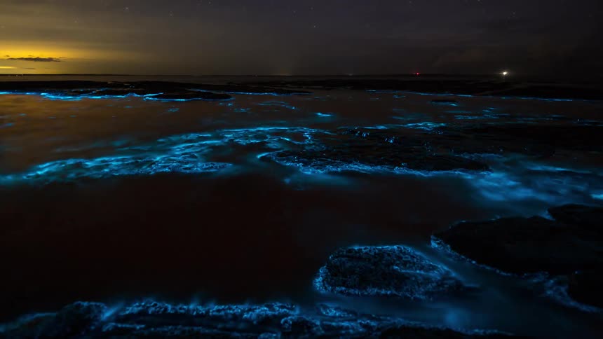A person swims through bioluminescent ocean water at night the waves glowing bright blue around them