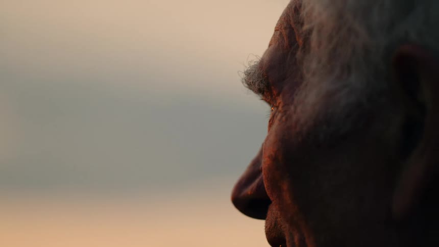 Side profile of elderly person with gray hair and serene expression under golden evening light