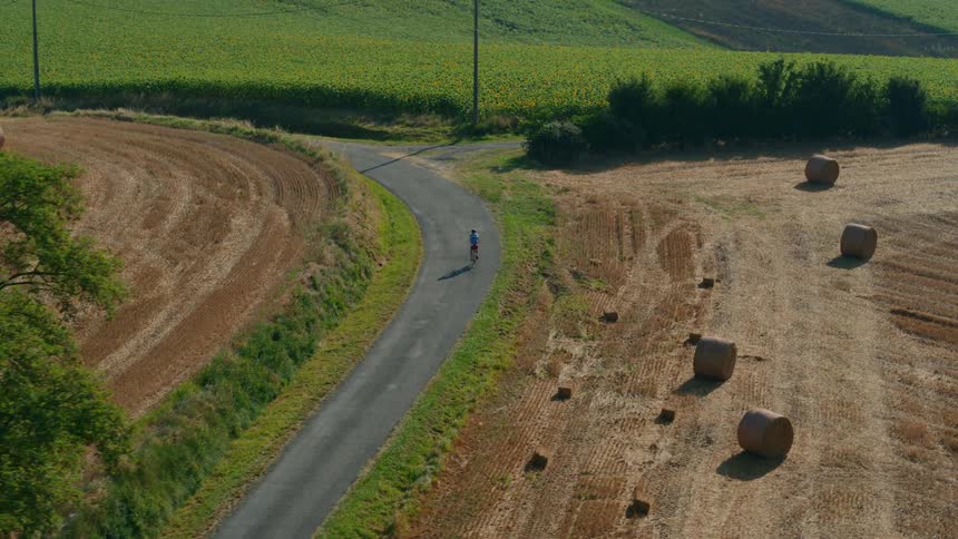 An aerial shot looks down on a cyclist driving through a harvested field dotted with several large round hay bales next to a narrow paved road lined with lush green trees
