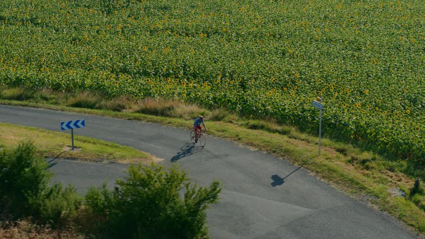 Man rides his bicycle on a rural road through farmland