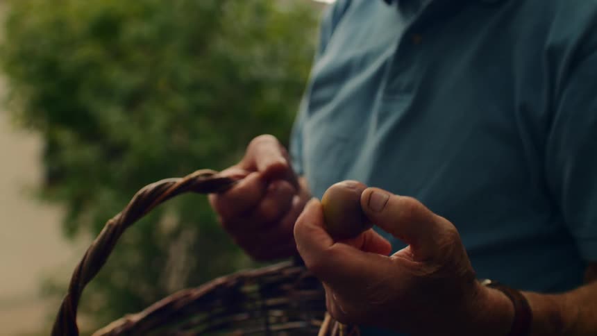 A man looking at a rock in a basket