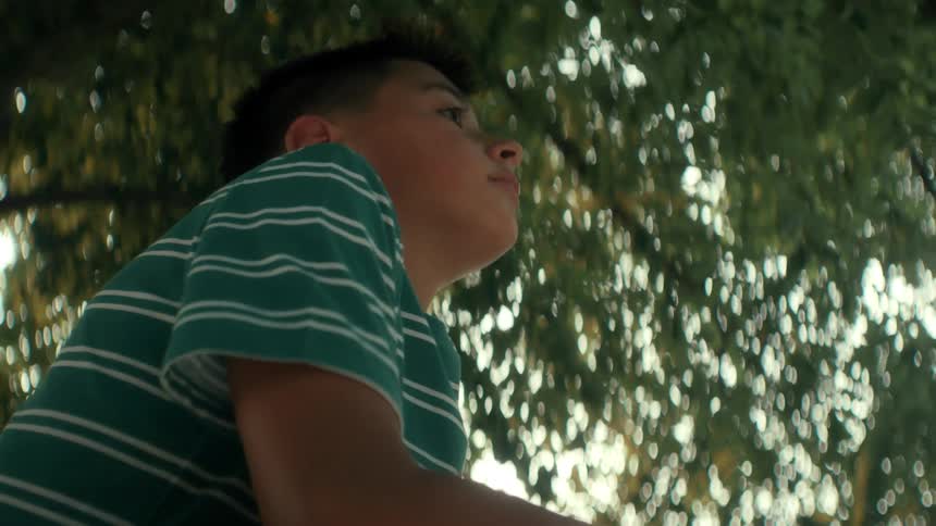 Young person in green and white striped shirt interacting with wooden structure outdoors amid nature
