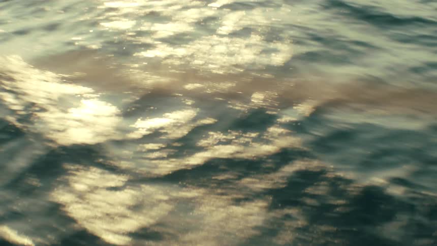 Closeup of ocean water with ripples and sunlight reflections creating shimmering patterns