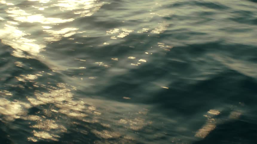 The sunlight reflects on the water