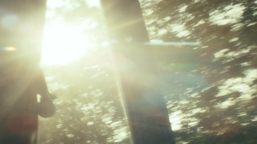 The car drives past the forest