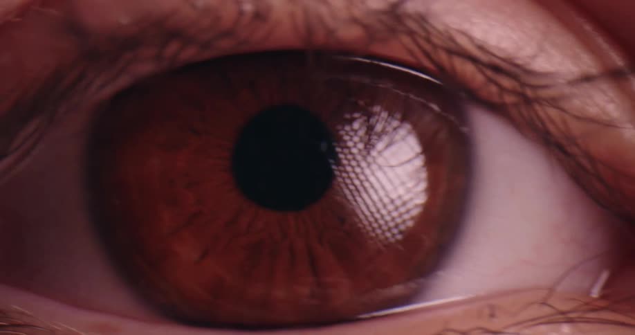In a tight close up a brown eye is shown as the lighting shifts from a deep blue hue to natural light revealing the intricate details of the iris