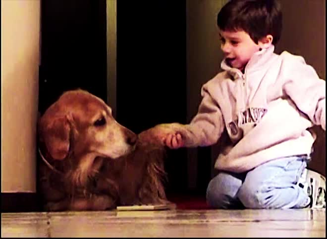 The boy shakes the dogs paw