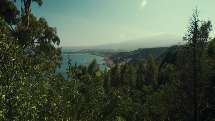 Green trees surround the shore
