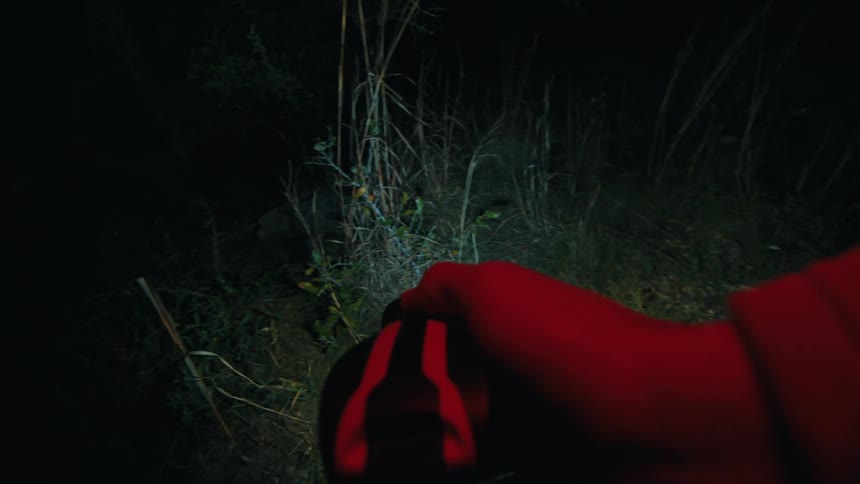 A person wearing a red jacket holds a large flashlight and shines a beam of light into the dark woods during the night