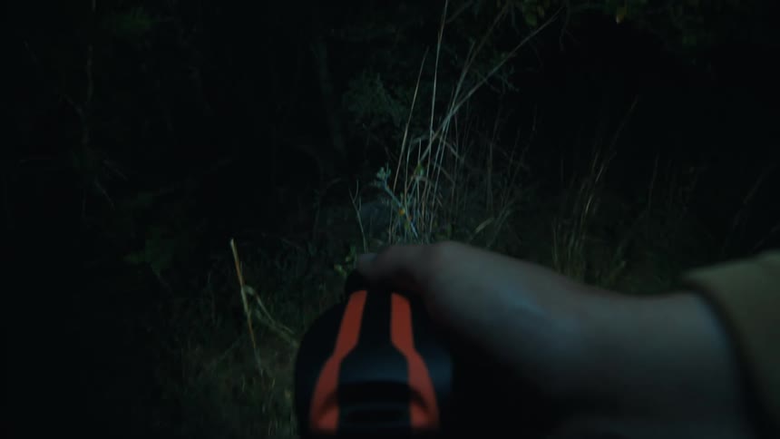 A view of a person walking in a forest with a flashlight