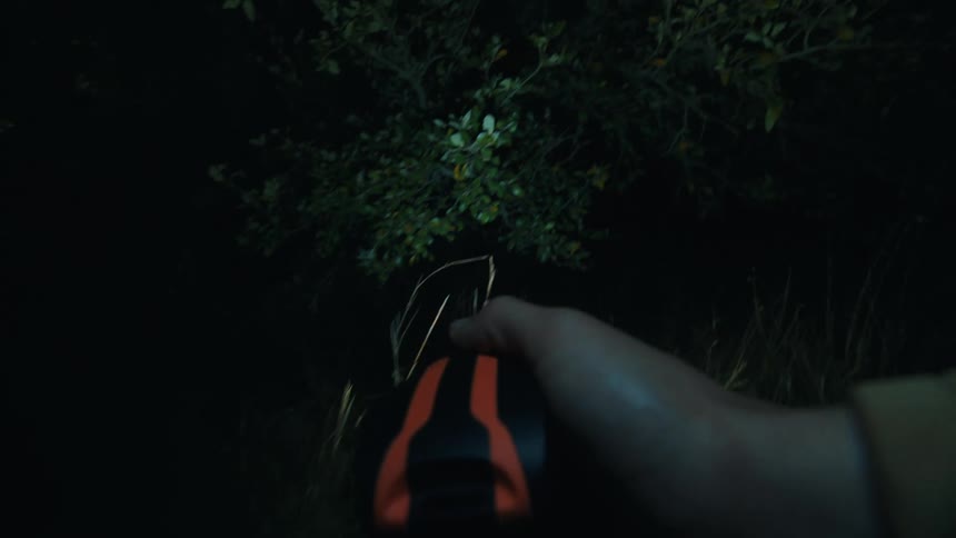 A person holds an orange flashlight while walking through a dark forest at night illuminating tall grass leafy bushes and the ground from a firstperson perspective as the light beam scans the surrounding dense vegetation