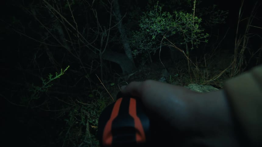 A person holding a large flashlight shines a beam of light across dense brush and trees in a dark forest at night